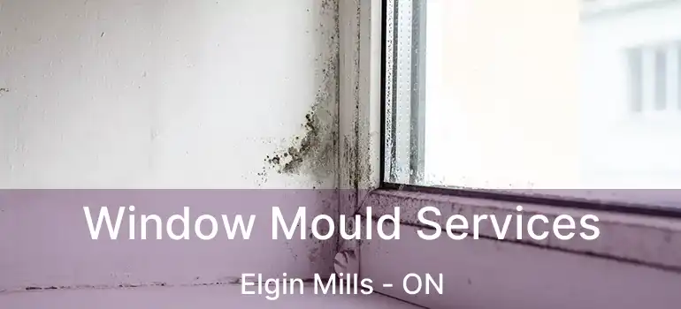  Window Mould Services Elgin Mills - ON