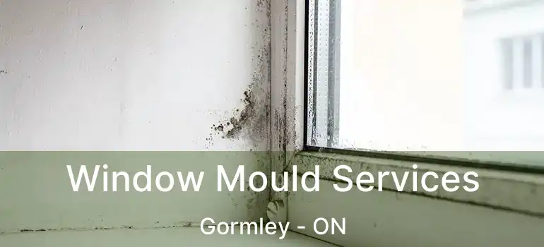  Window Mould Services Gormley - ON