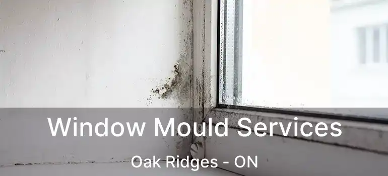  Window Mould Services Oak Ridges - ON
