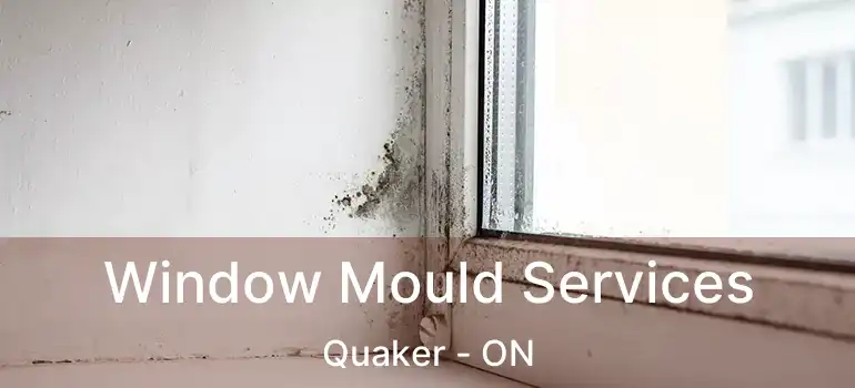 Window Mould Services Quaker - ON