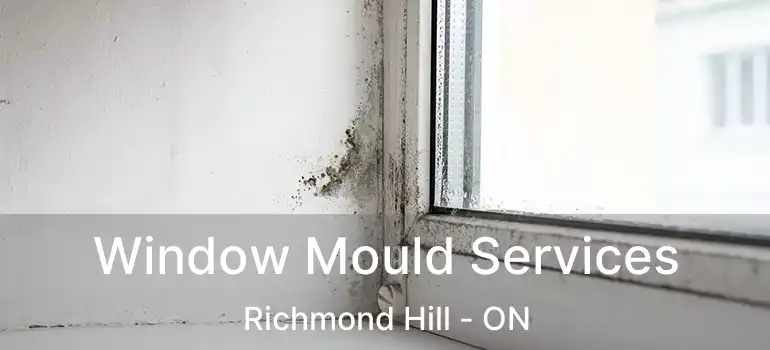  Window Mould Services Richmond Hill - ON