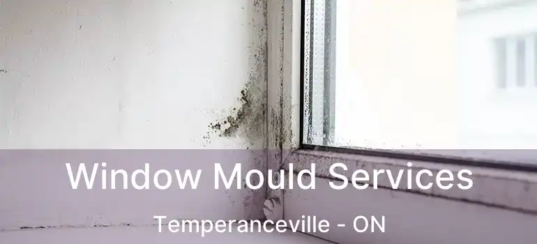 Window Mould Services Temperanceville - ON