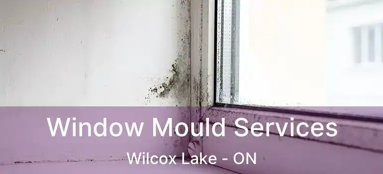  Window Mould Services Wilcox Lake - ON