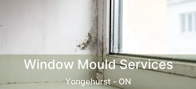  Window Mould Services Yongehurst - ON