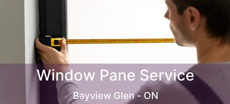  Window Pane Service Bayview Glen - ON