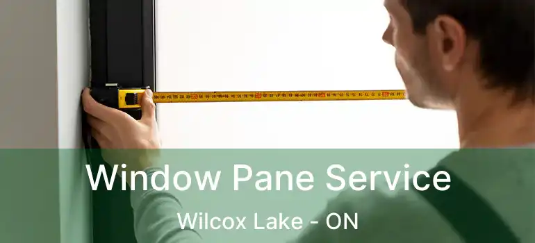  Window Pane Service Wilcox Lake - ON