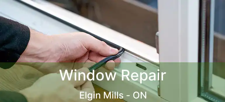  Window Repair Elgin Mills - ON