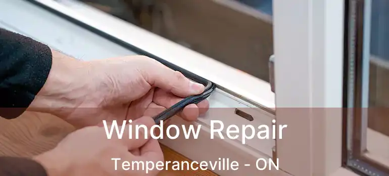  Window Repair Temperanceville - ON