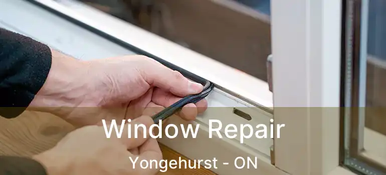  Window Repair Yongehurst - ON