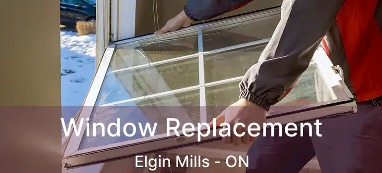  Window Replacement Elgin Mills - ON