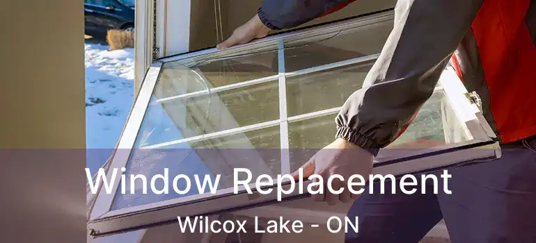  Window Replacement Wilcox Lake - ON