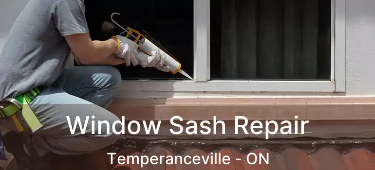  Window Sash Repair Temperanceville - ON