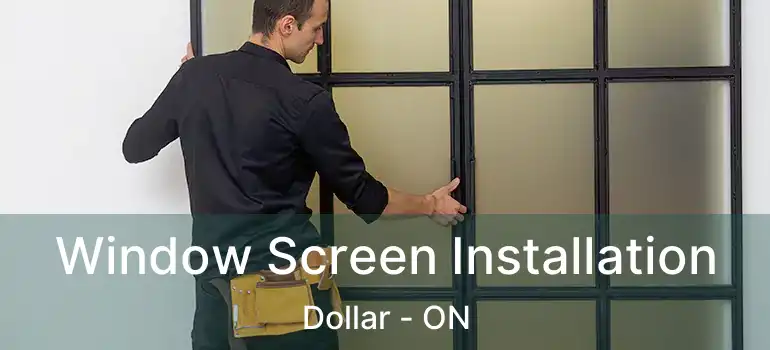  Window Screen Installation Dollar - ON