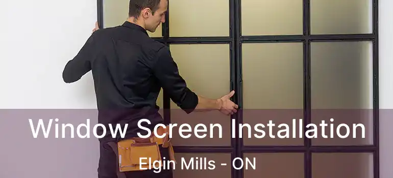  Window Screen Installation Elgin Mills - ON