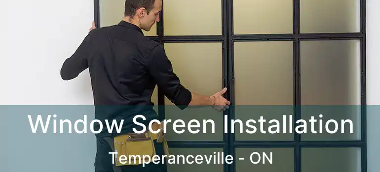  Window Screen Installation Temperanceville - ON