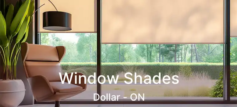  Window Shades Dollar - ON