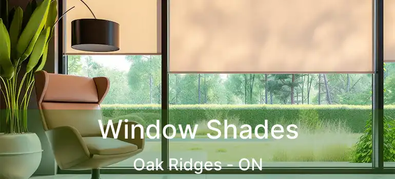  Window Shades Oak Ridges - ON