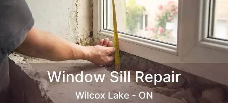  Window Sill Repair Wilcox Lake - ON