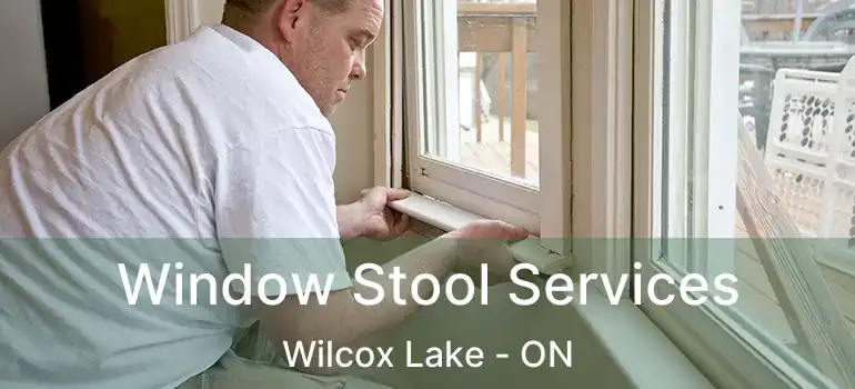  Window Stool Services Wilcox Lake - ON