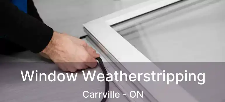  Window Weatherstripping Carrville - ON