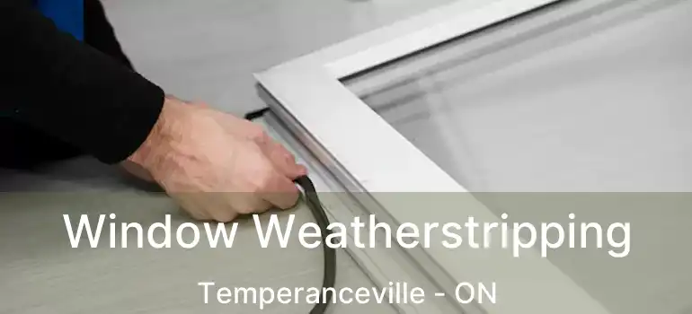  Window Weatherstripping Temperanceville - ON