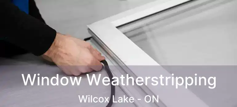  Window Weatherstripping Wilcox Lake - ON