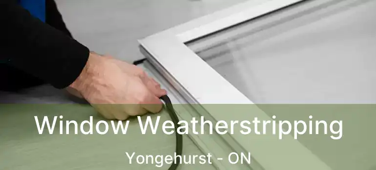  Window Weatherstripping Yongehurst - ON