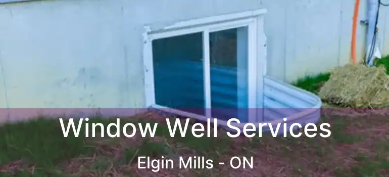  Window Well Services Elgin Mills - ON