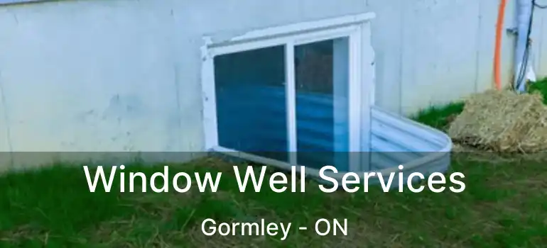  Window Well Services Gormley - ON