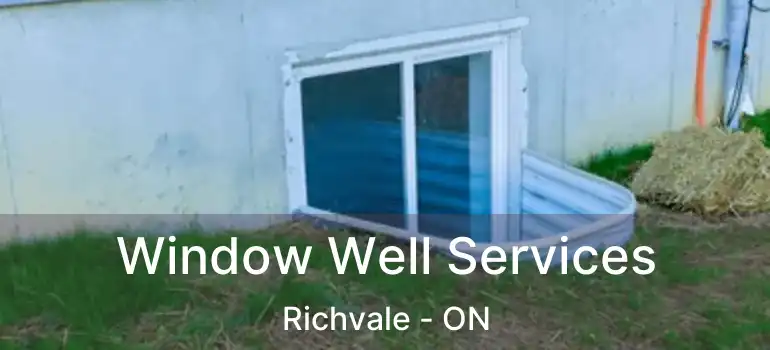  Window Well Services Richvale - ON