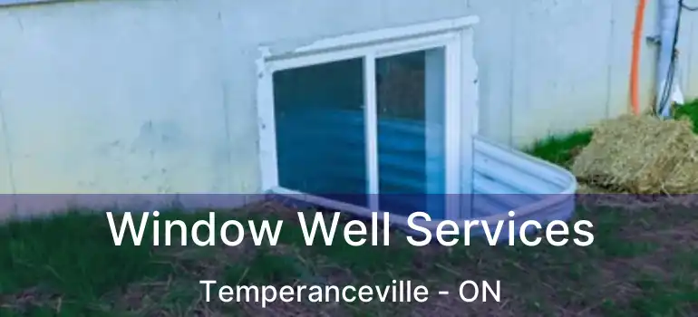  Window Well Services Temperanceville - ON