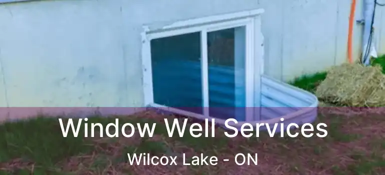  Window Well Services Wilcox Lake - ON