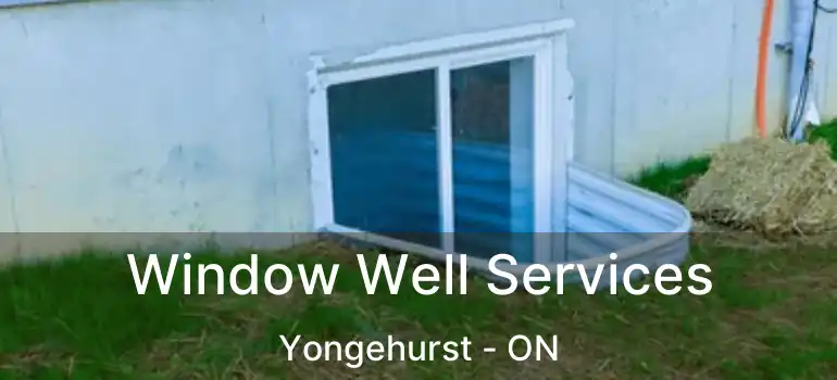  Window Well Services Yongehurst - ON
