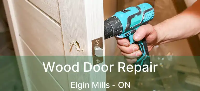  Wood Door Repair Elgin Mills - ON