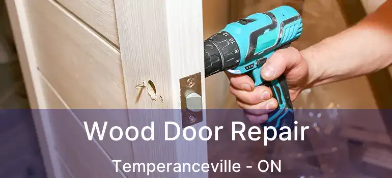  Wood Door Repair Temperanceville - ON